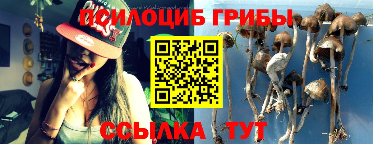 Батайск  Псилоцибиновые грибы Magic Shrooms  Вход с VPN  Псилоцибиновые грибы ЛСД 